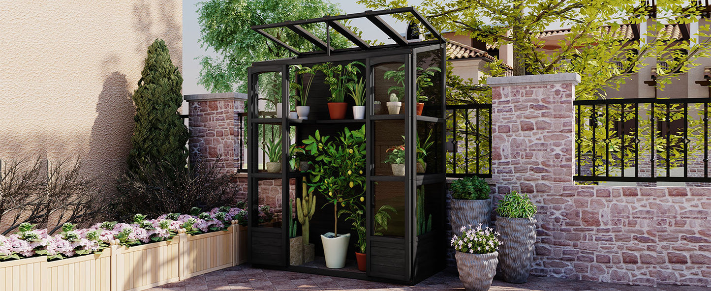 78-inch Wooden Greenhouse Cold Frame with 4 Independent Skylights and 2 Folding Middle Shelves, Walk-in Outdoor Greenhouse