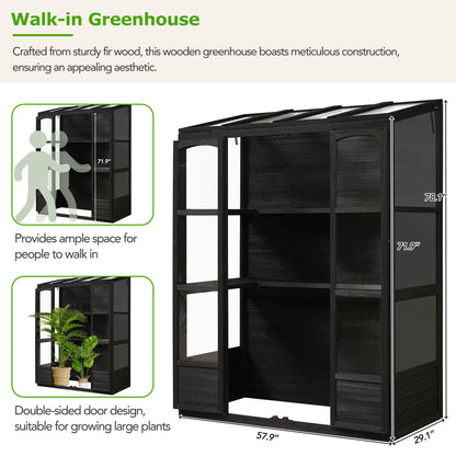 78-inch Wooden Greenhouse Cold Frame with 4 Independent Skylights and 2 Folding Middle Shelves, Walk-in Outdoor Greenhouse