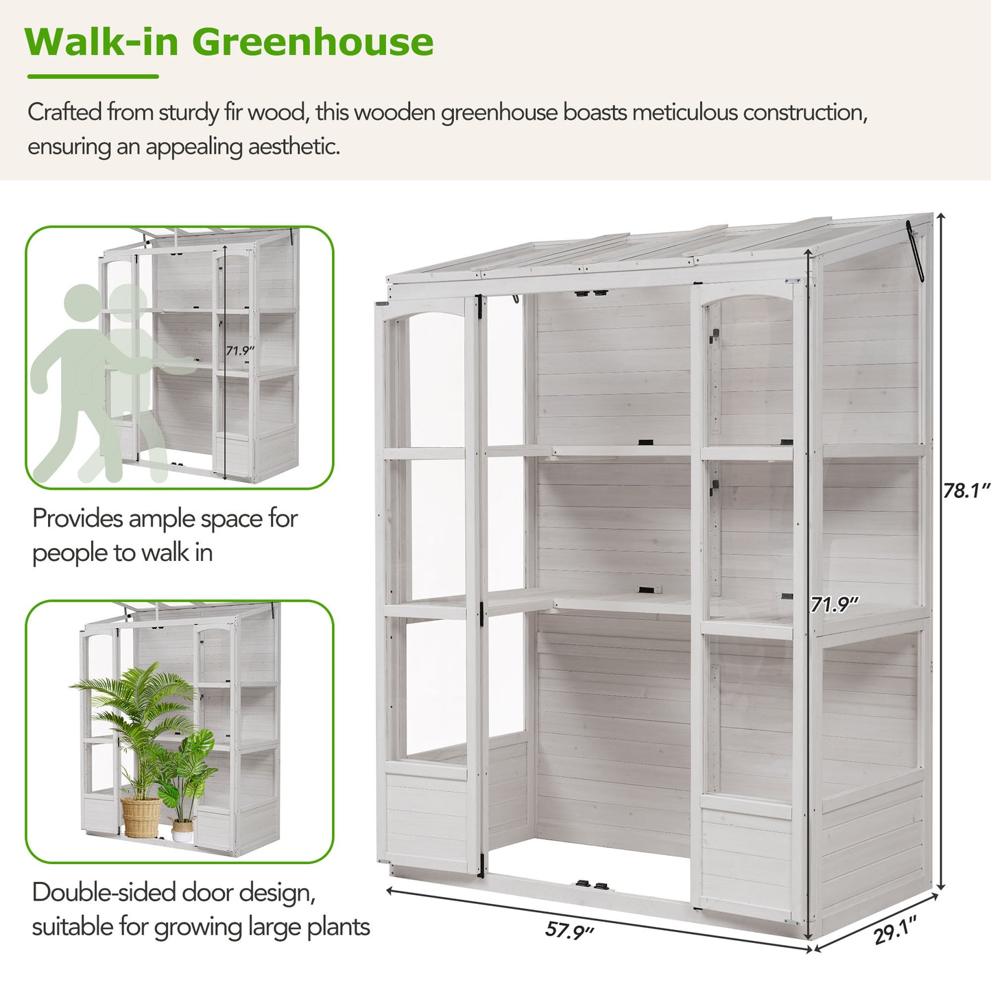 78-inch Wooden Greenhouse Cold Frame with 4 Independent Skylights and 2 Folding Middle Shelves, Walk-in Outdoor Greenhouse